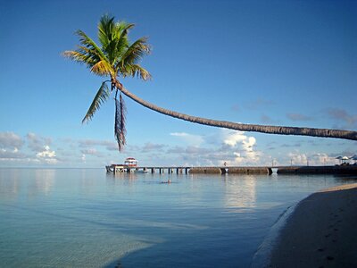 Island diving resort