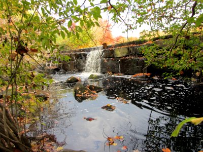 Hyde Pond Dam - before removal photo