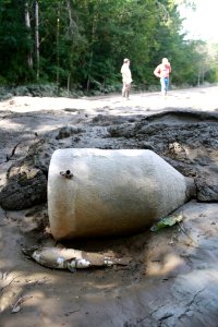 Debris, sediment and dead fish left by receding flood waters