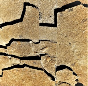 shapes of stone photo