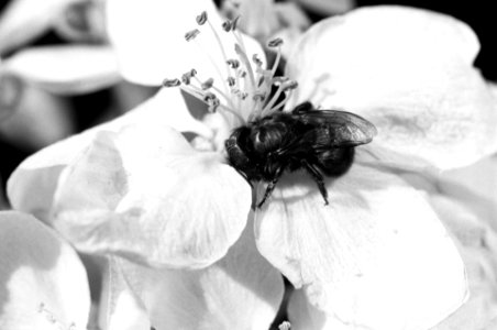 20120105-OC-AMW-0285