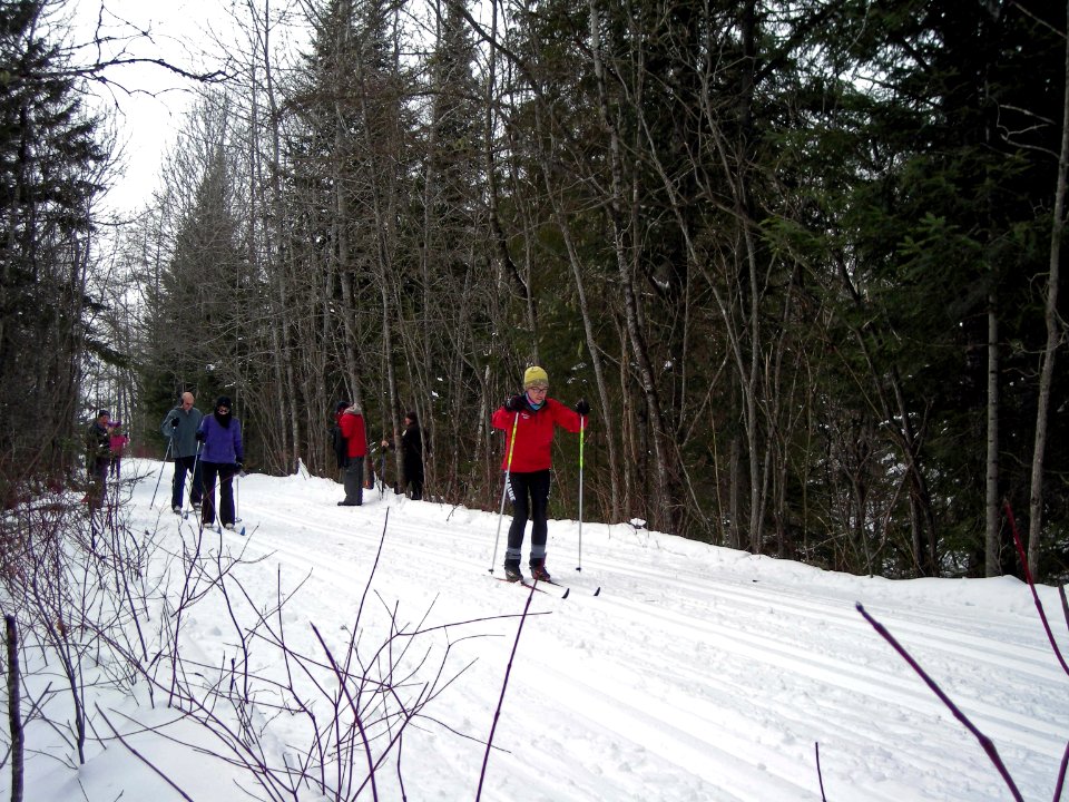 Cross-country skiing