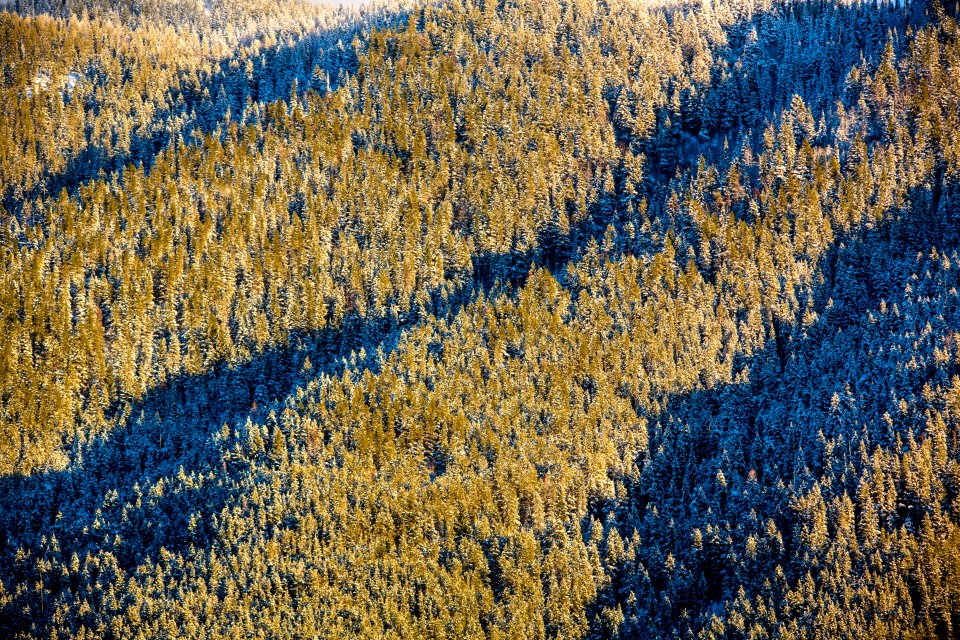 Snyder Ridge Patterns