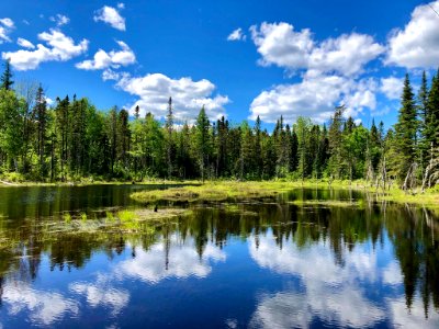 Beaver Pond