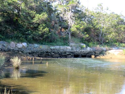 Muddy Creek - undersized culverts that will be removed