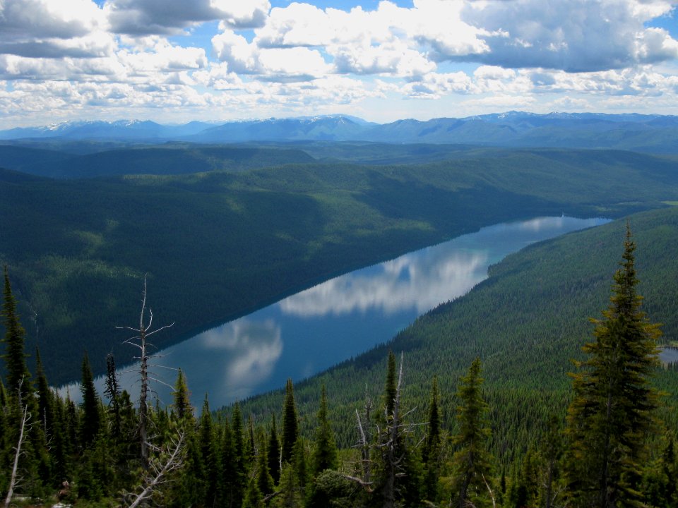 Bowman Lake from Numa Lookout