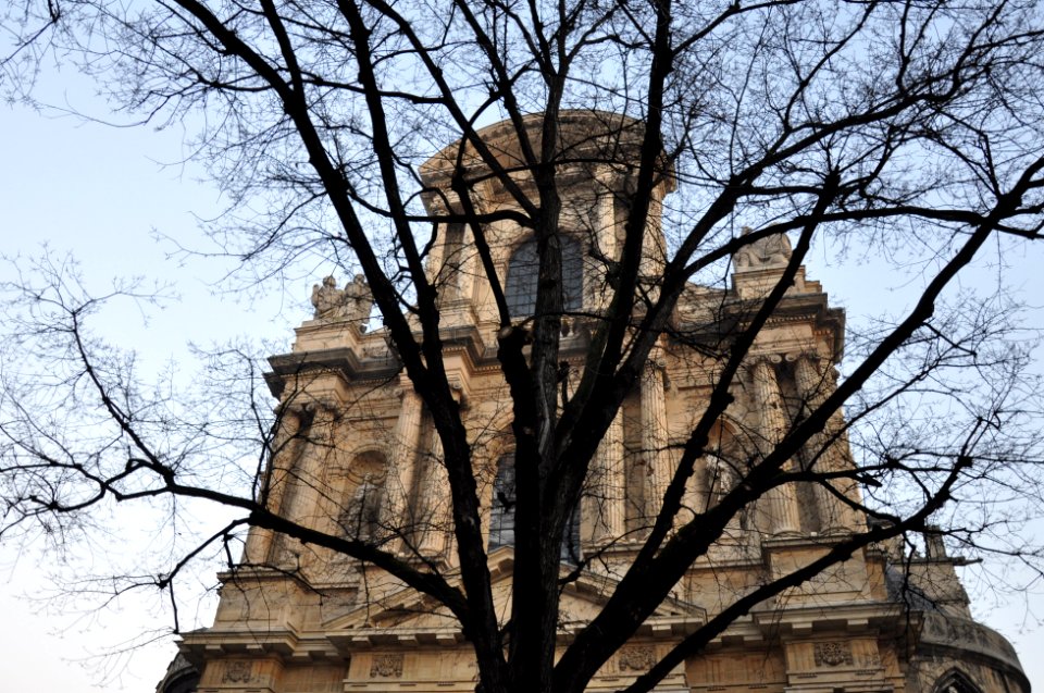 Eglise Saint Gervais & Orme - Paris