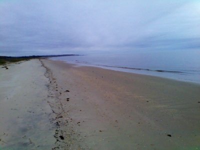 Reeds Beach Restoration