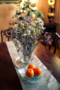 Oranges fruit decor
