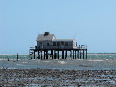 Sunday House and osprey nest