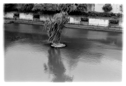 xtol+parodinal test