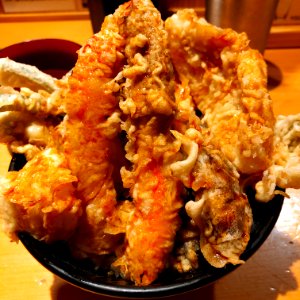 TENDON