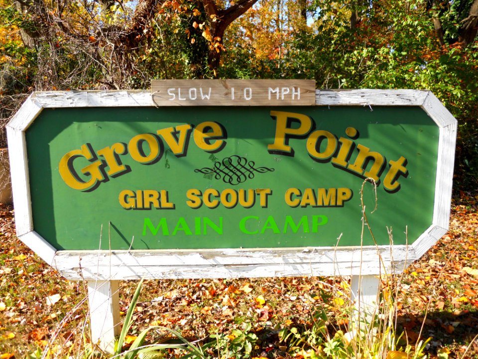 Girl Scouts of the Chesapeake Bay Protect Threatened Puritan Tiger Beetle