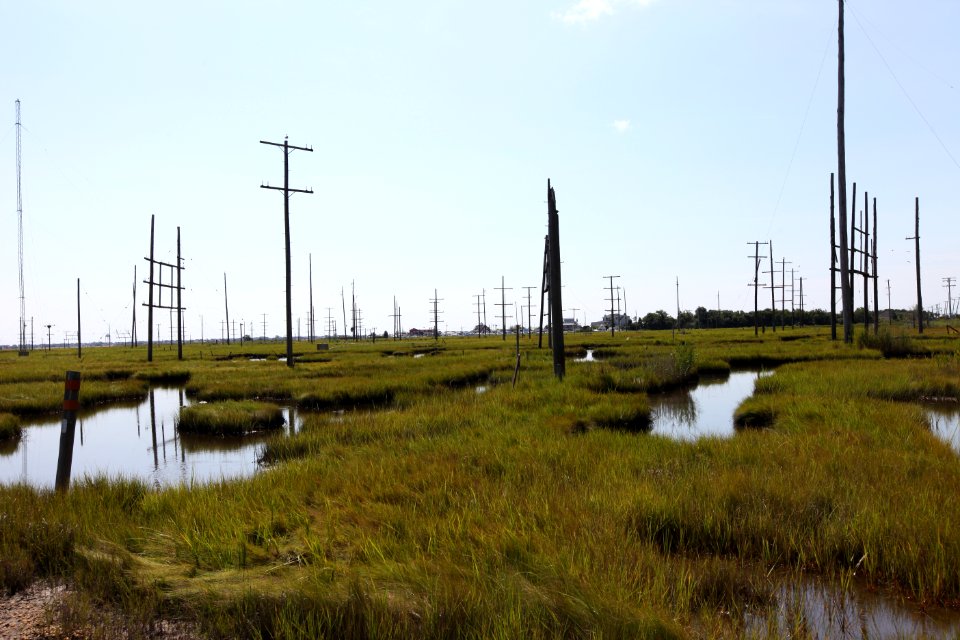 Ground level poles at Edwin B. Forsythe National Wildlife Refuge