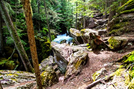 Avalanche Lake Trail