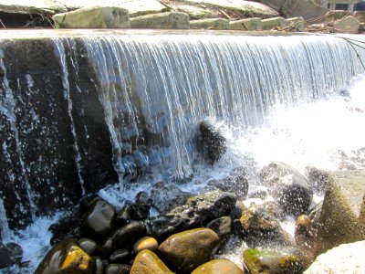 親情河濱公園-2