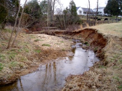 Beaver Run Eroded Streambank Before Construction