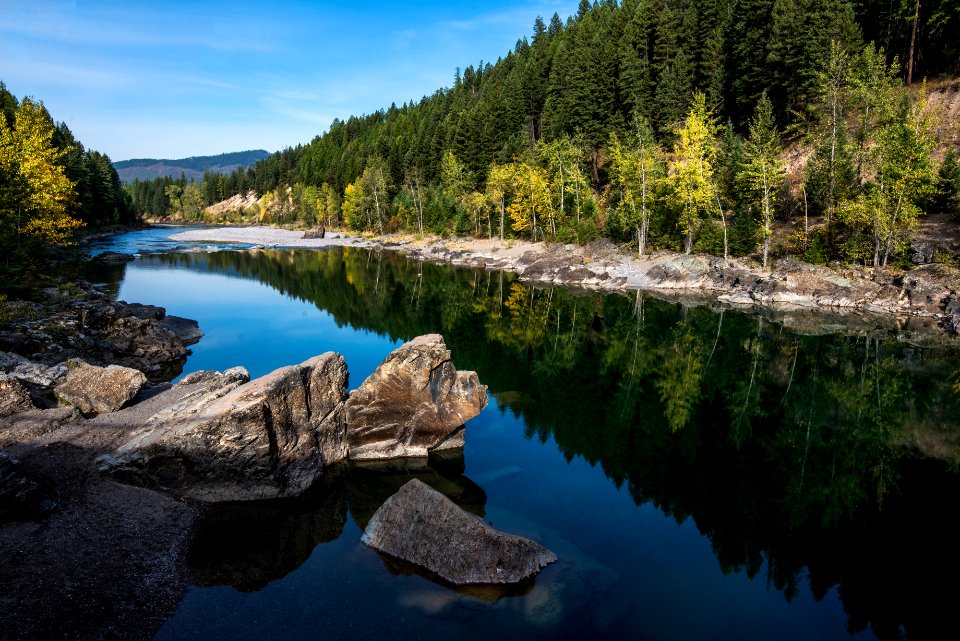 Flathead River- Calm Morning B