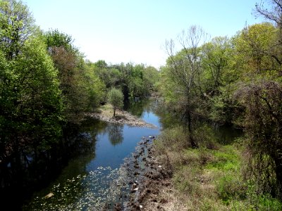 Upstream from the Flock Process Dam