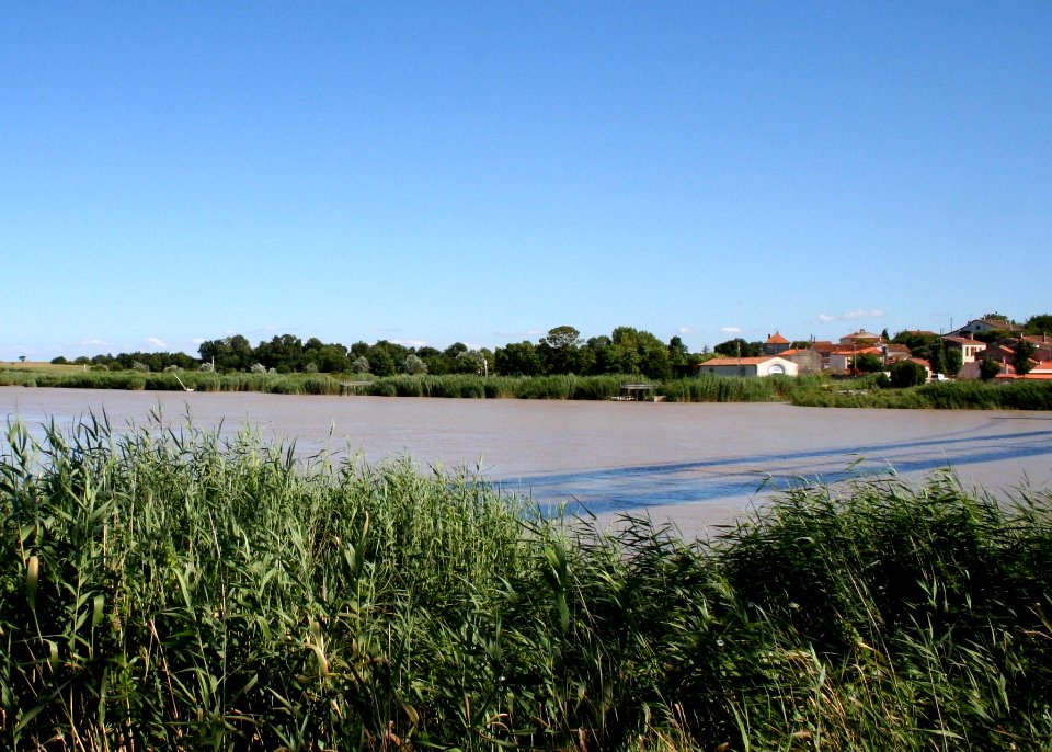 Marais Rochefortais - Rochefort - France