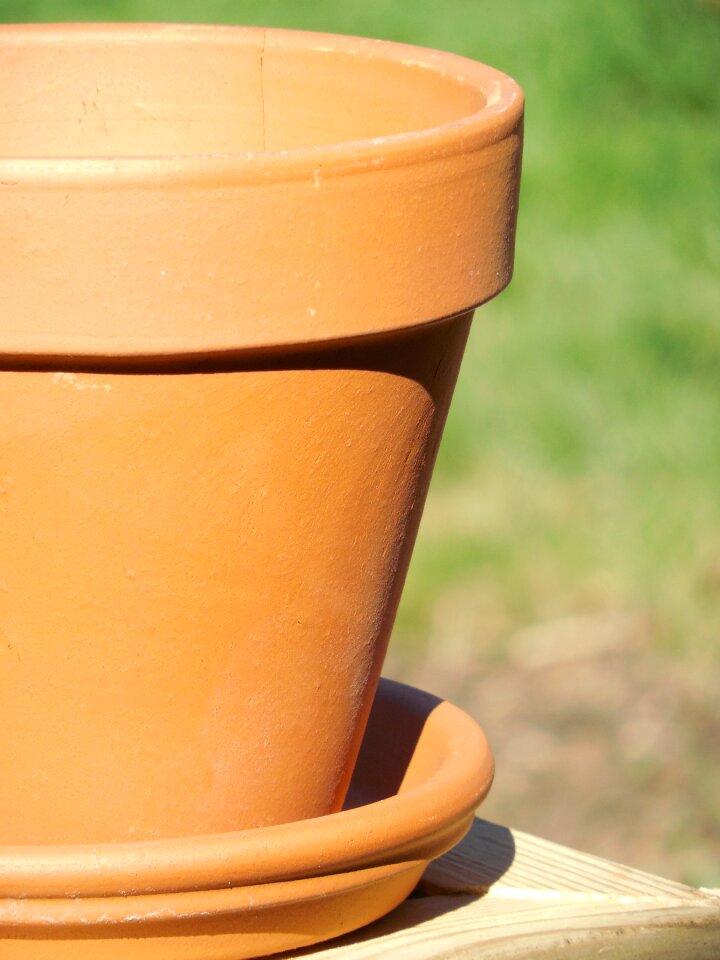 Terra cotta flower photo