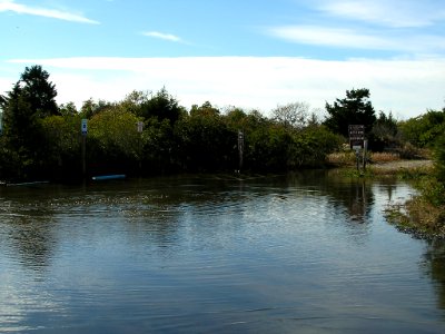 Hurricane Sandy damaged Cape May National Wildlife Refuge (NJ)