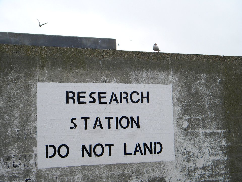 Great Gull Island, NY