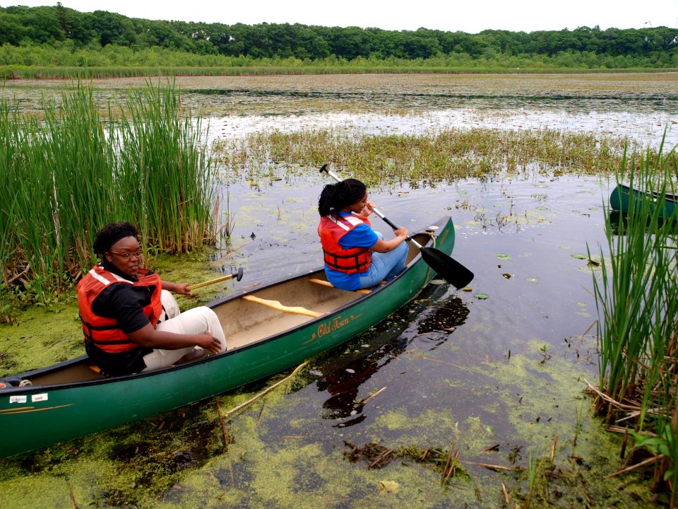 Canoeing for Waterchestnuts