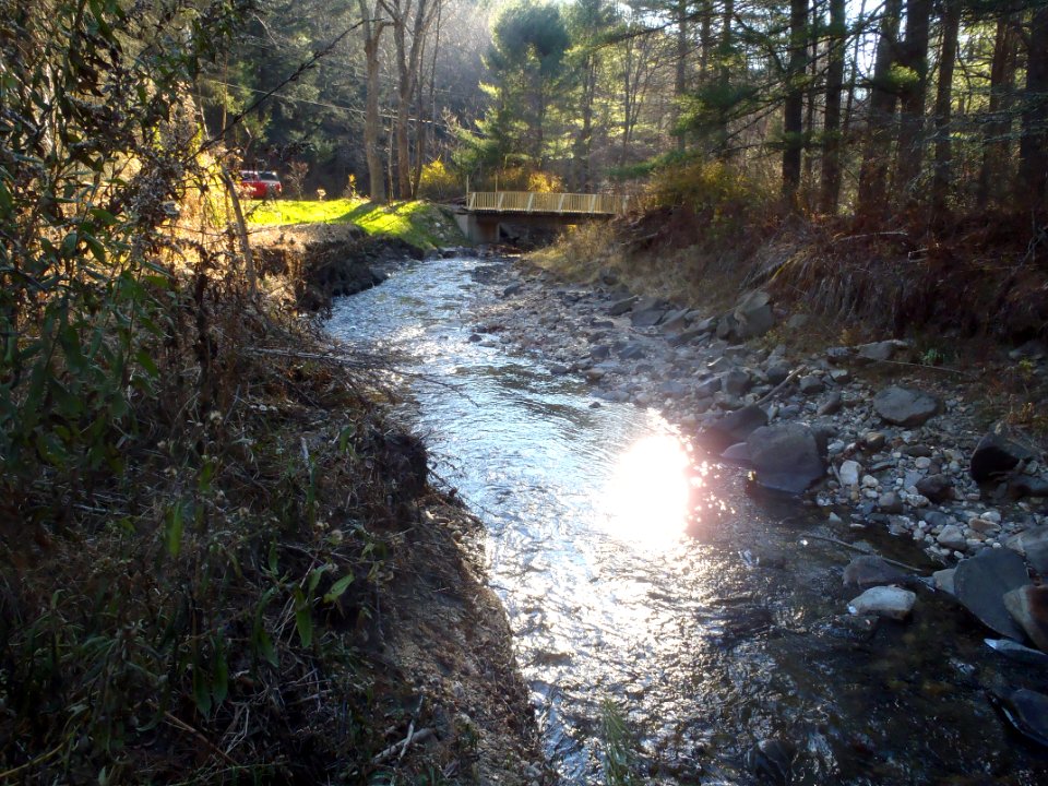 Stroud Dam Post Removal