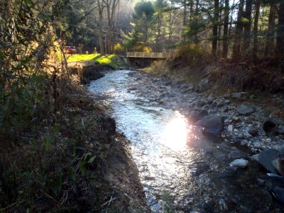 Stroud Dam Post Removal