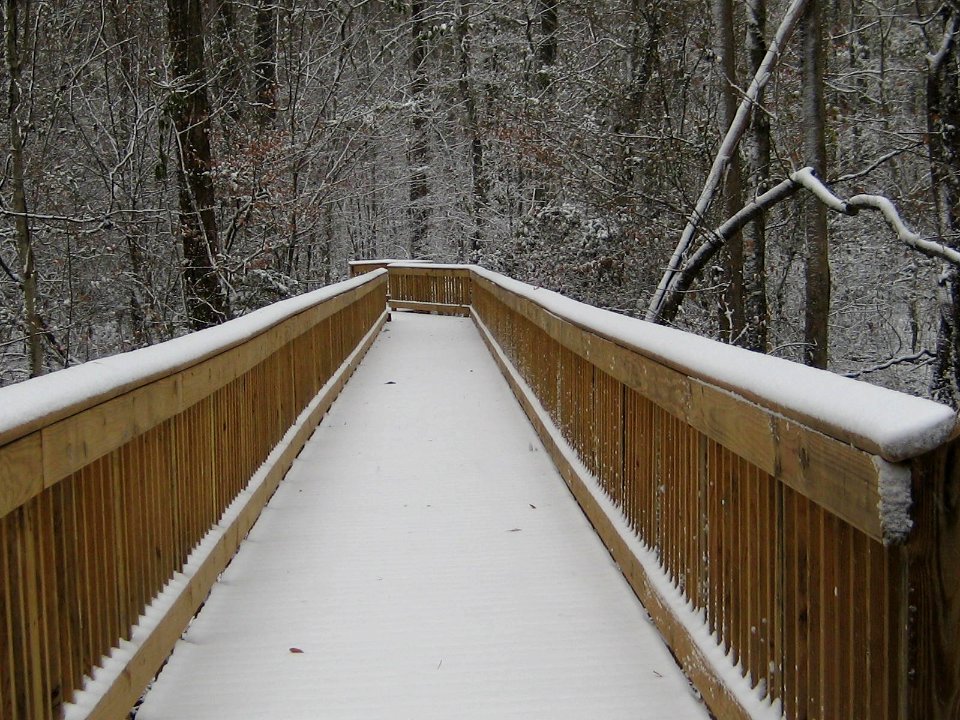 Washington Ditch Boardwalk