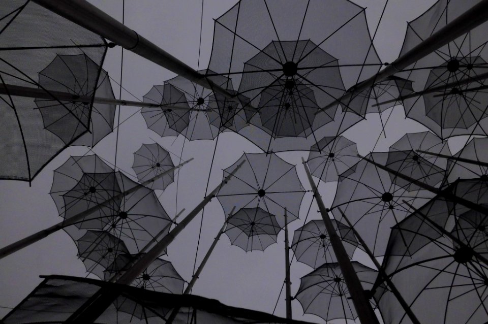 umbrellas by Zoggolopoulos