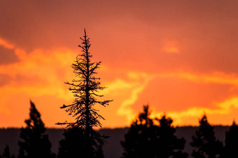 Sunrise from St. Mary Campground