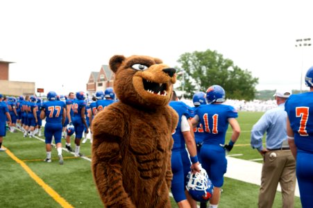 CG Academy Mascot