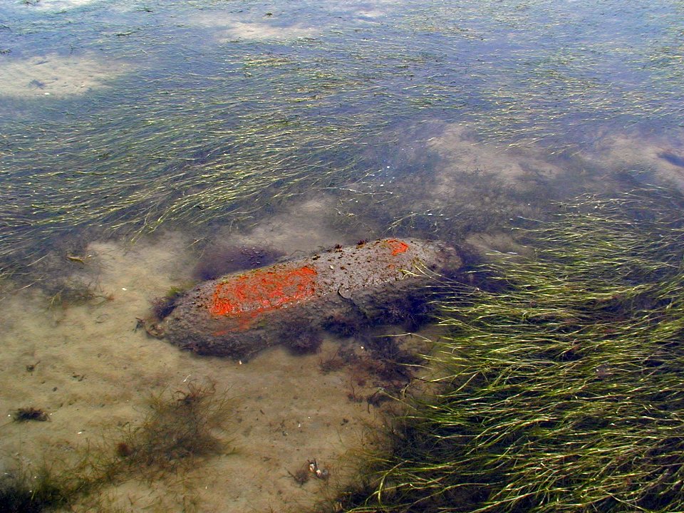 Unexploded ordinance