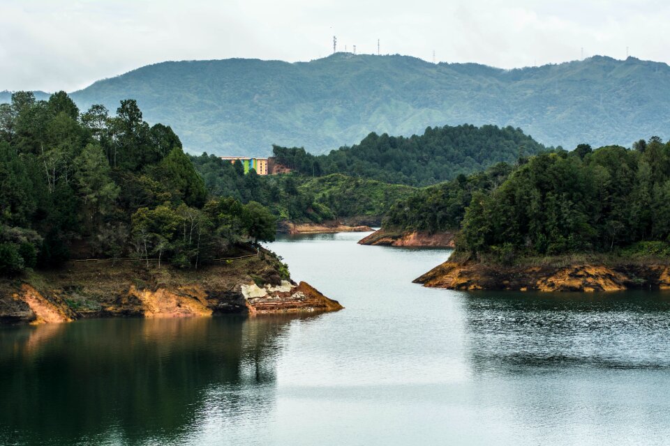 Water outdoor forest