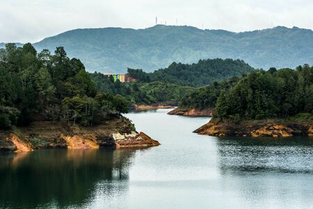 Water outdoor forest