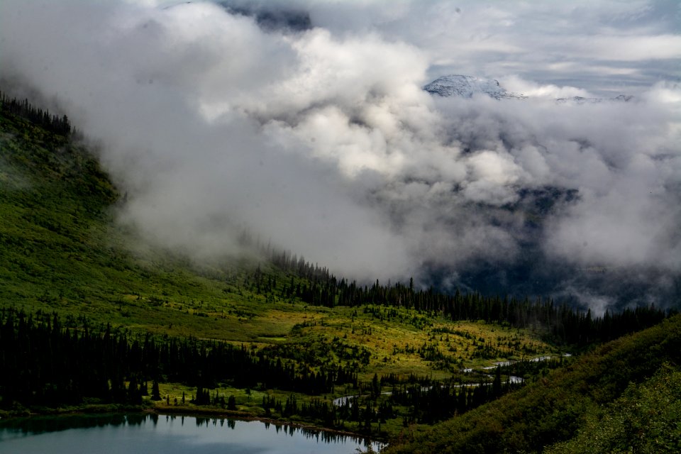 Clouds and Green
