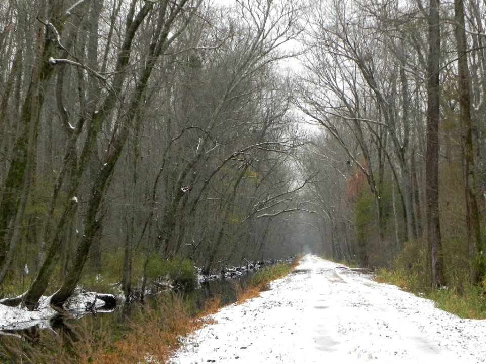 Washington Ditch Trail