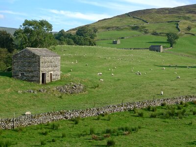 Dales rural countryside photo
