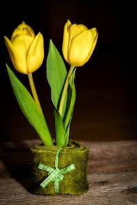 Yellow flowers deco