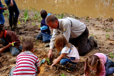 Planting a schoolyard wetland