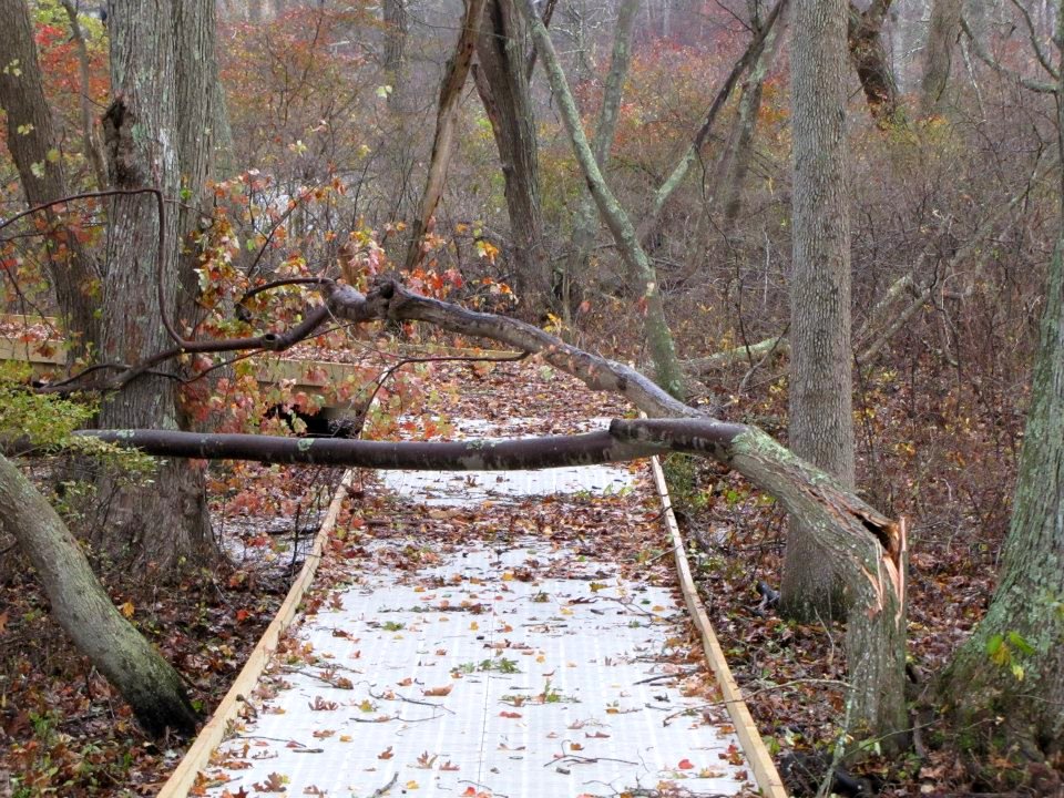 Hurricane damage at Long Island National Wildlife Refuge Complex (NY)