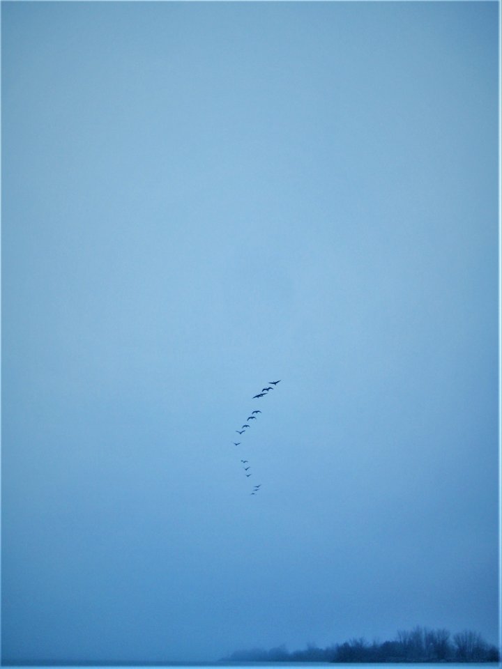 early spring
