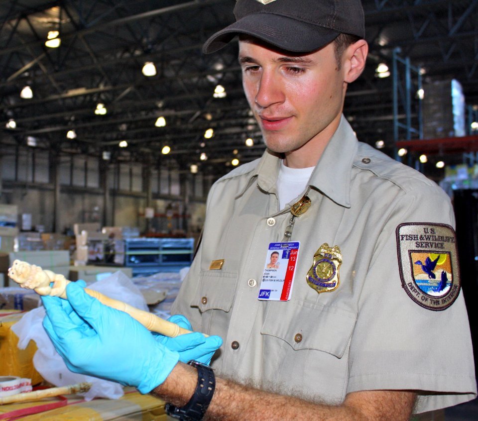 Inspector looks at an imported statue photo