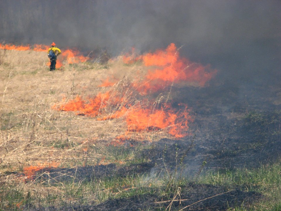 Controlled burn at Iroquois National Wildlife Refuge