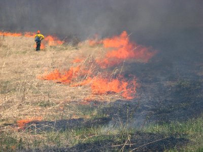 Controlled burn at Iroquois National Wildlife Refuge photo