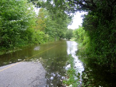 Flooded road at Great Swamp