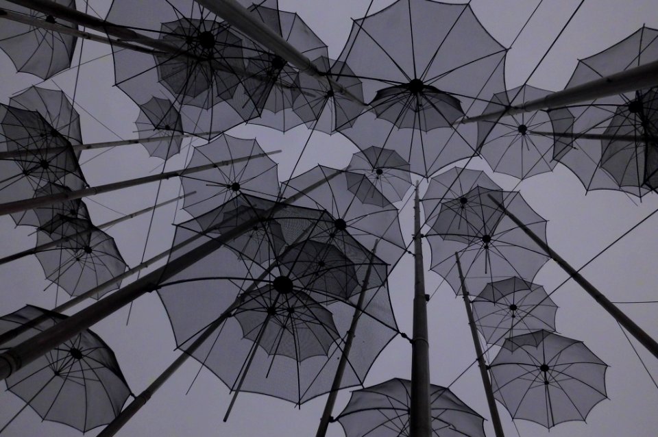 umbrellas by Zoggolopoulos