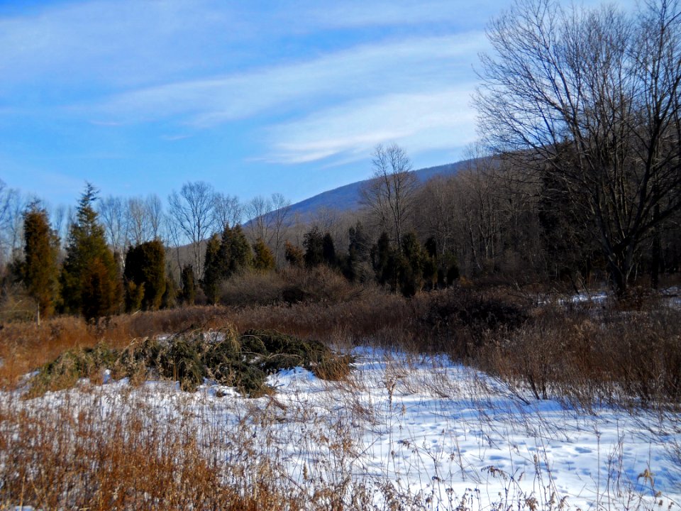 Winter at Cherry Valley